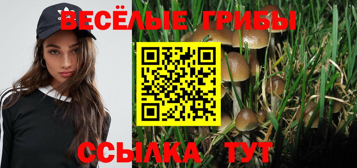 Псилоцибиновые грибы мухоморы  купить  сайты  Камышин  Вход с VPN  Псилоцибиновые грибы прущие грибы 