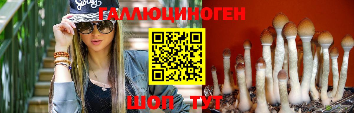 Галлюциногенные грибы ЛСД Камышин